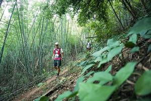 BIB: 
                            <button type="button" onclick="openModal(28159574)" class="btn btn-primary btn-sm float-right btn-popup" data-toggle="modal" data-target=".modal-high-quality">
                        <i class="fas fa-shopping-cart"></i> Add to Cart
                    </button>
                                            <button type="button" onclick="isThisMe(28159574, true)" class="btn btn-success btn-sm float-right btn-popup btn-isme hidden" data-toggle="tooltip" data-placement="bottom" title="นี่คือรูปของคุณใช่ไหม คลิกที่นี่เพื่อเอาเข้าอัลบั้ม">
                        <i class="fas fa-plus"></i> Add to album
                    </button>
                    <button type="button" onclick="isThisMe(28159574, false)" class="btn btn-warning btn-sm float-right btn-popup btn-isnotme hidden">
                        <i class="fas fa-ban"></i> Remove from album
                    </button>